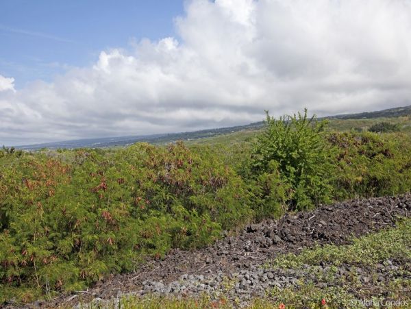 Kailua Kona Home 955303