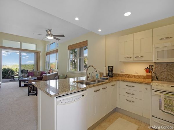 Kailua Kona Home 955303