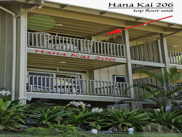 Haiku Condo 955304