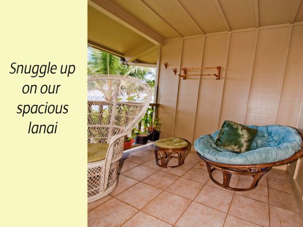 Haiku Condo 955304