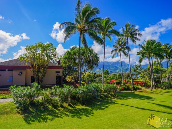 Princeville Condo 955305