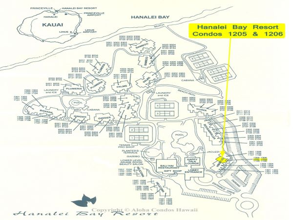 Princeville Condo 955305