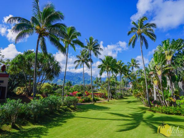 Princeville Condo 955305