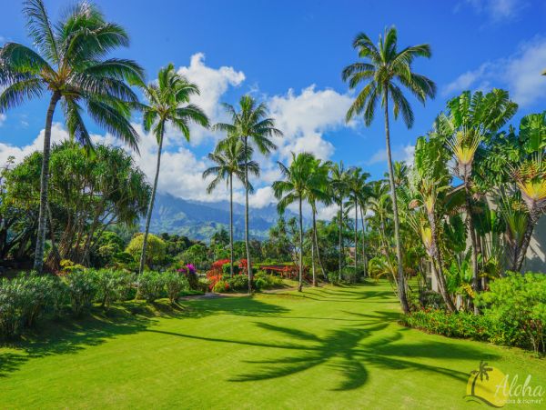 Princeville Condo 955306