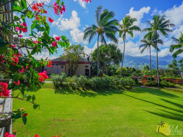 Princeville Condo 955307