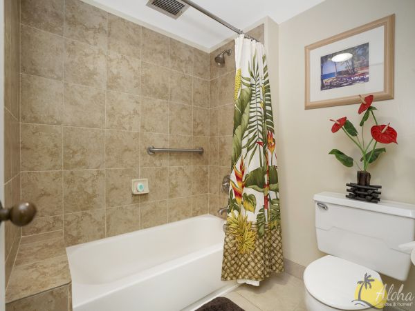 Princeville Condo 955307