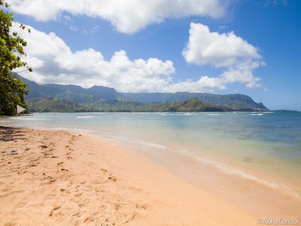 Princeville Condo 955307