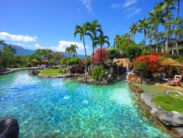 Princeville Condo 955307
