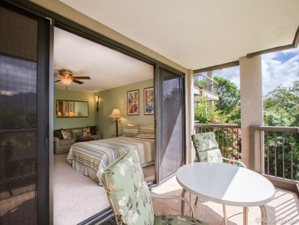 Princeville Condo 955308