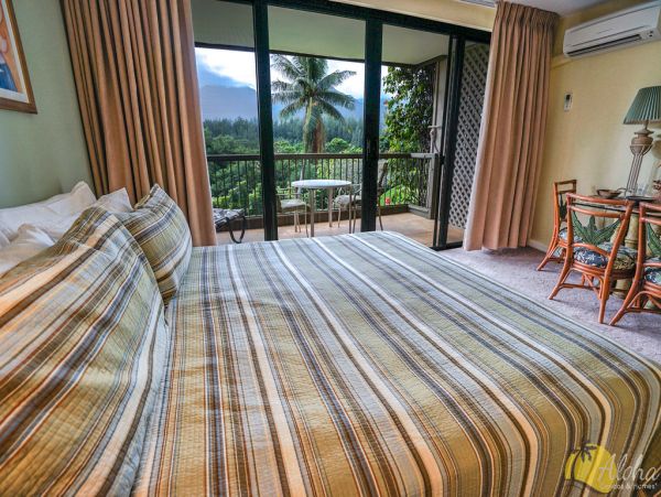 Princeville Condo 955308