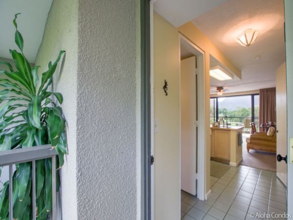 Princeville Condo 955308
