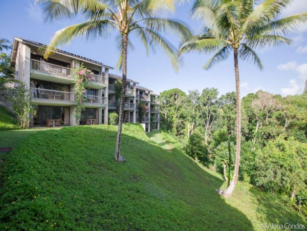 Princeville Condo 955308