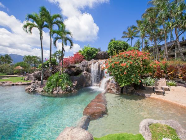 Princeville Condo 955308