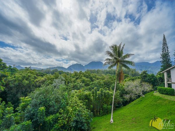 Princeville Condo 955309