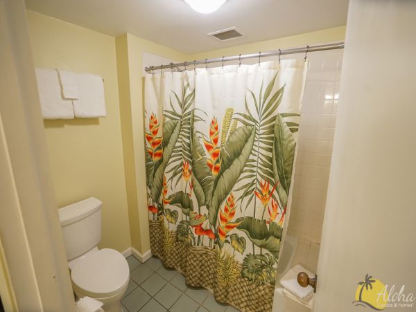 Princeville Condo 955309