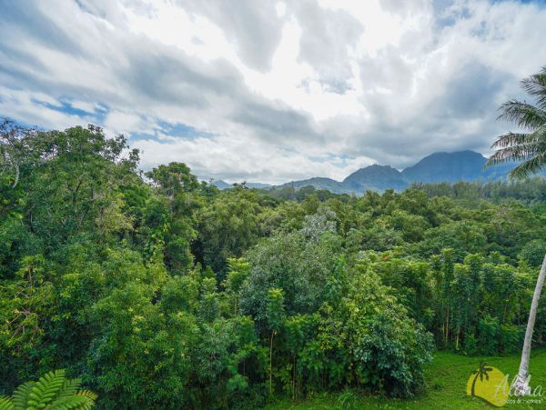 Princeville Condo 955309