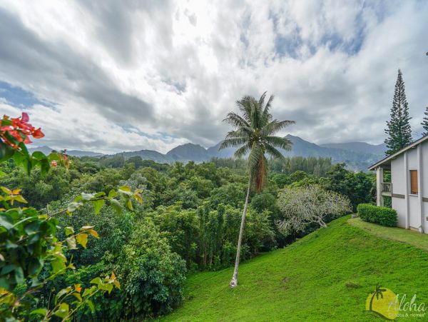 Princeville Condo 955310