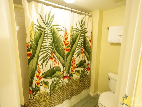 Princeville Condo 955310