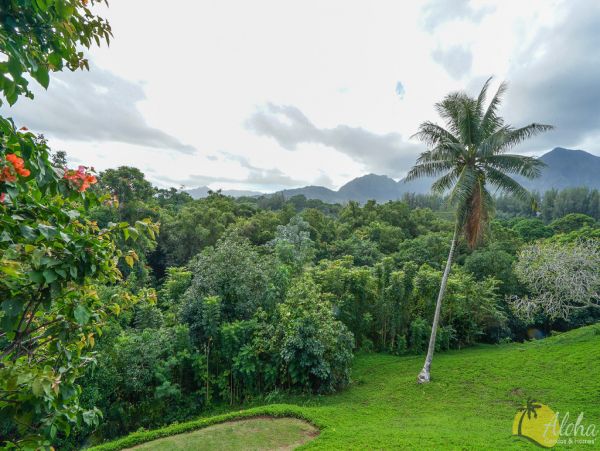 Princeville Condo 955310