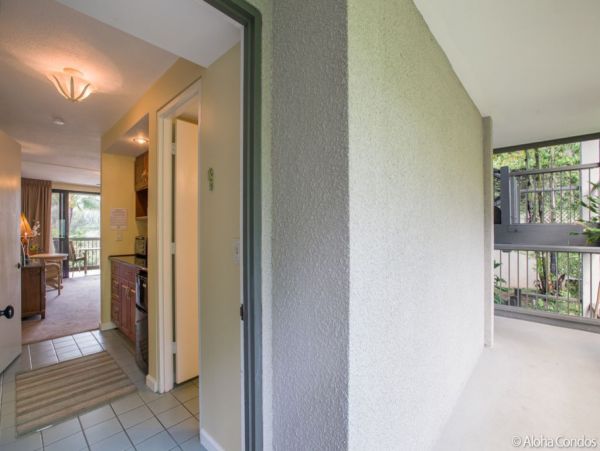 Princeville Condo 955310