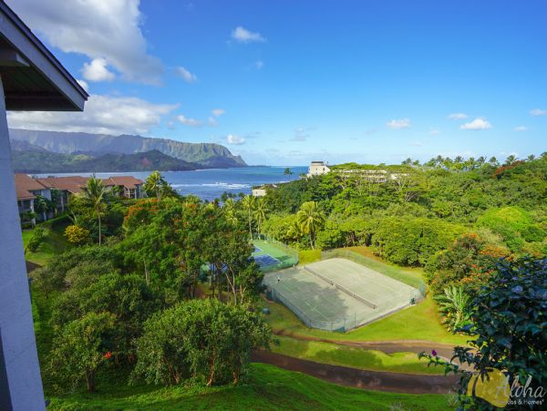 Princeville Condo 955311