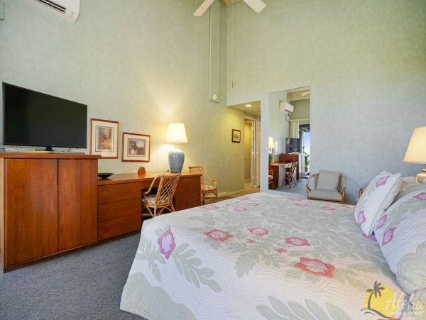 Princeville Condo 955311