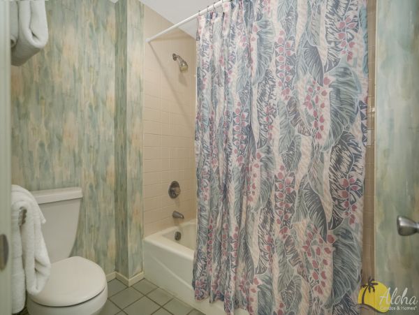 Princeville Condo 955311