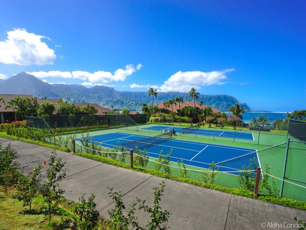 Princeville Condo 955311