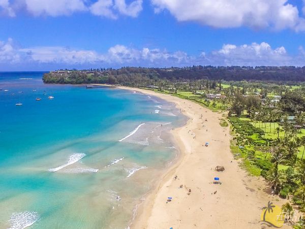 Princeville Condo 955311