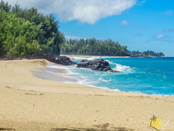 Princeville Condo 955311