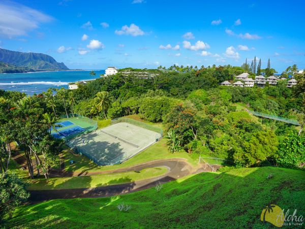 Princeville Condo 955312