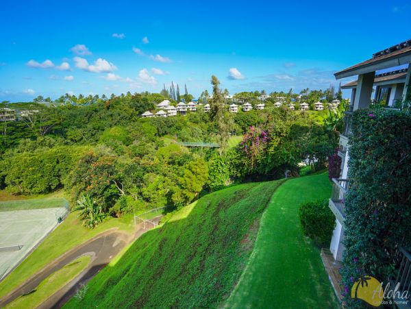 Princeville Condo 955312