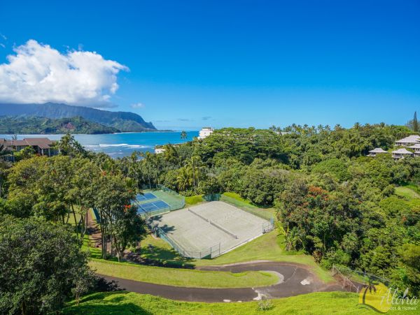 Princeville Condo 955313
