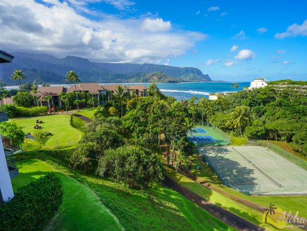 Princeville Condo 955313