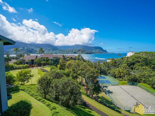 Princeville Condo 955313