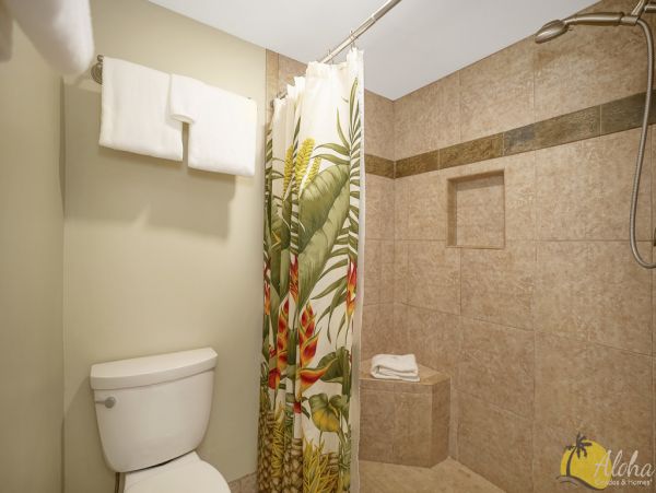 Princeville Condo 955314