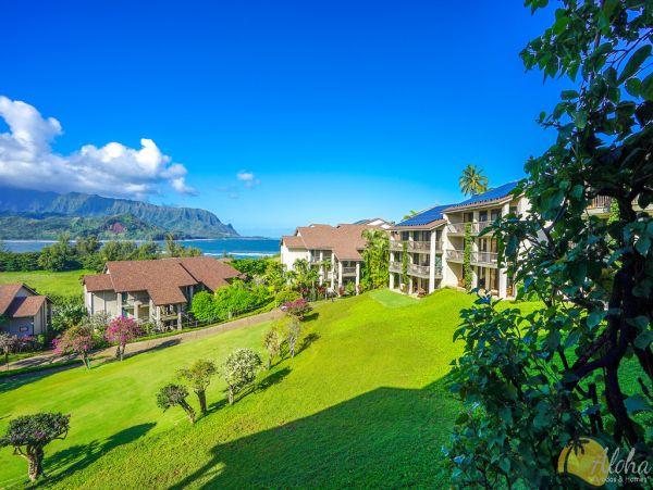 Princeville Condo 955314