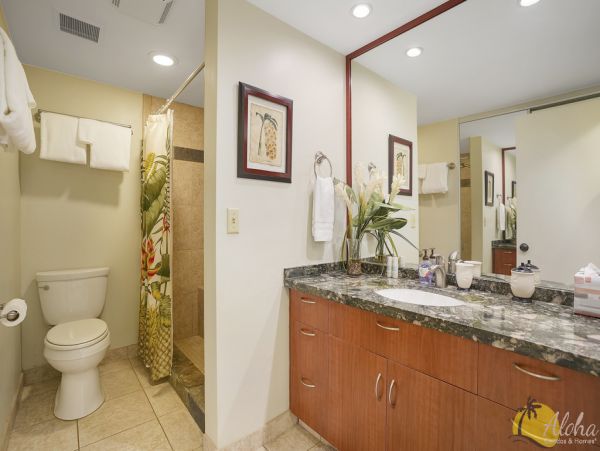 Princeville Condo 955315