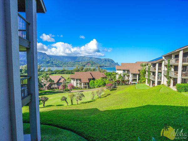 Princeville Condo 955315