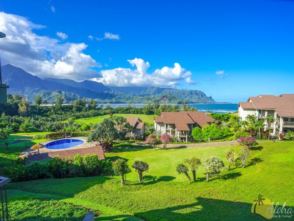Princeville Condo 955315
