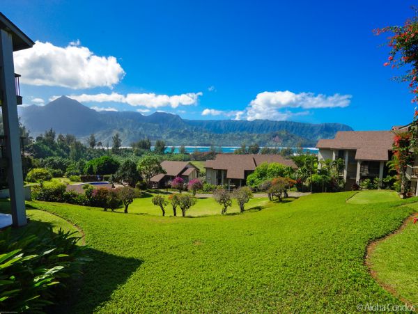 Princeville Condo 955316