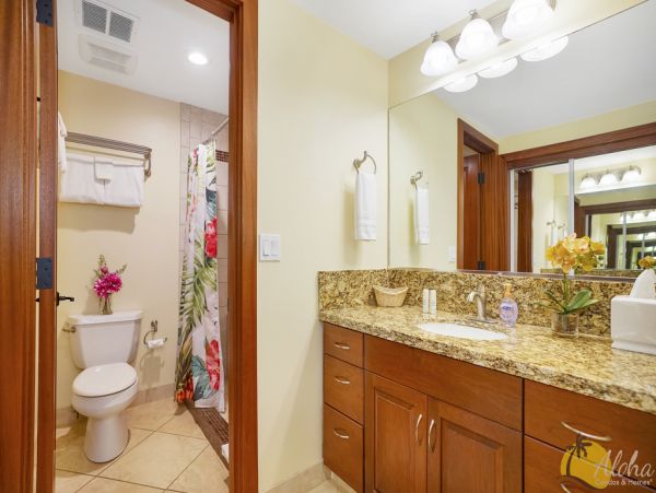 Princeville Condo 955317