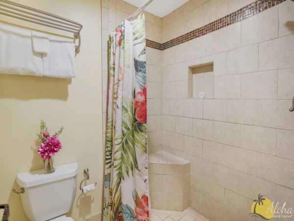 Princeville Condo 955317