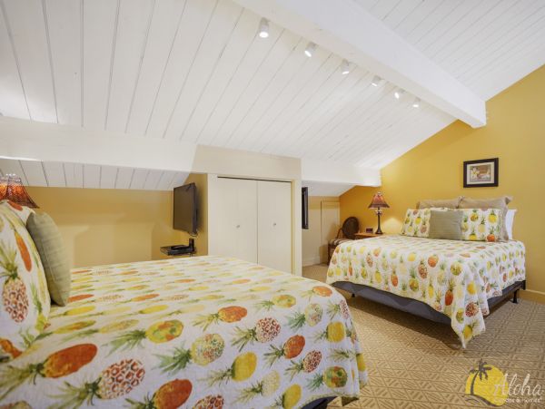 Princeville Condo 955317