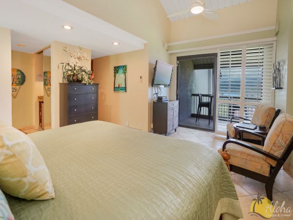 Princeville Condo 955319