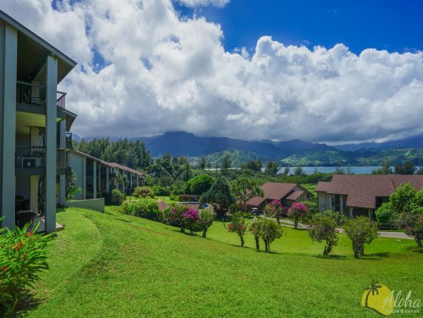 Princeville Condo 955319