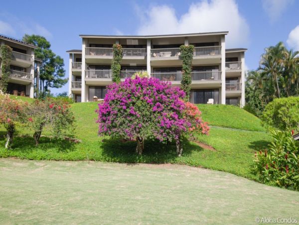 Princeville Condo 955319