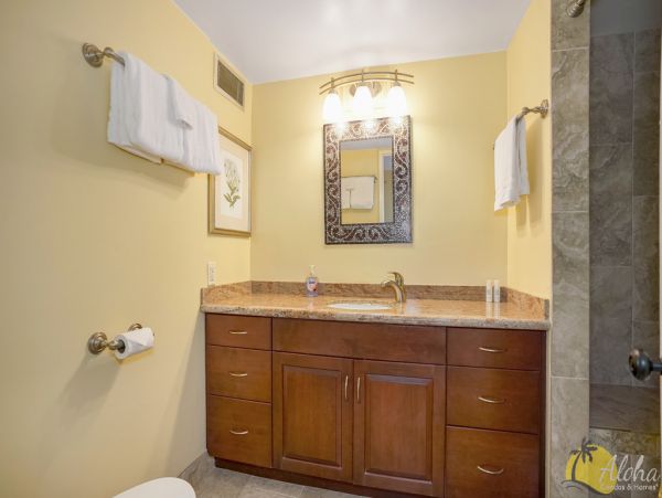 Princeville Condo 955320