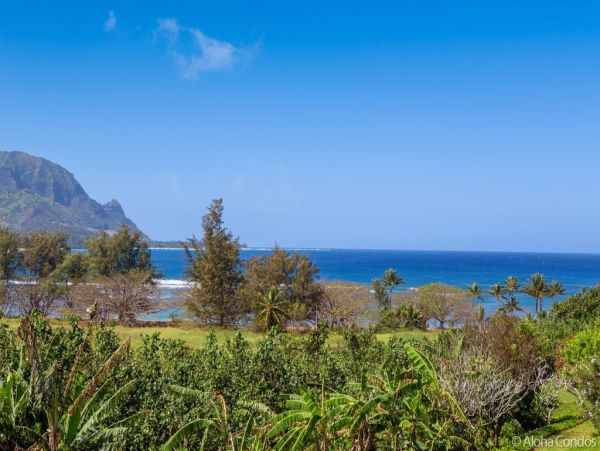 Princeville Condo 955320