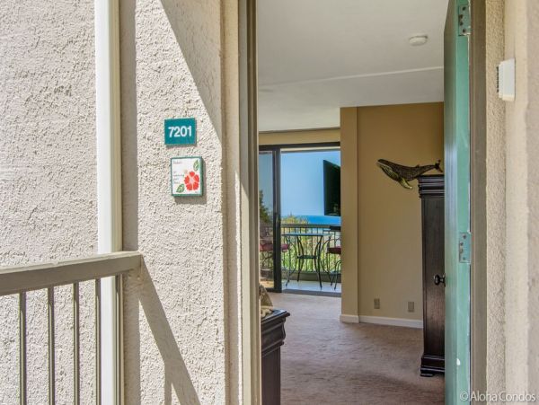Princeville Condo 955320